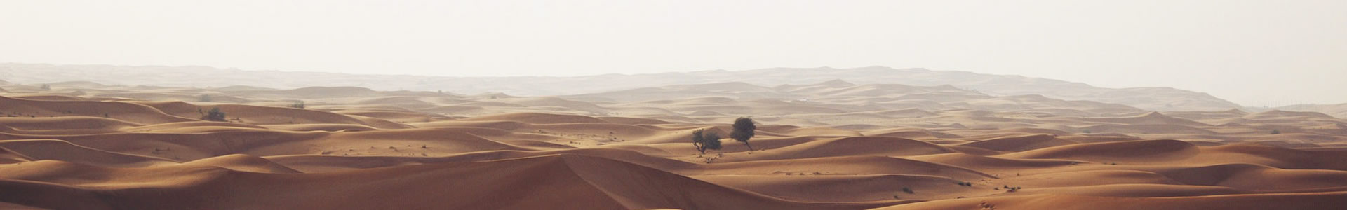 ǿħ()Ƽ޹˾